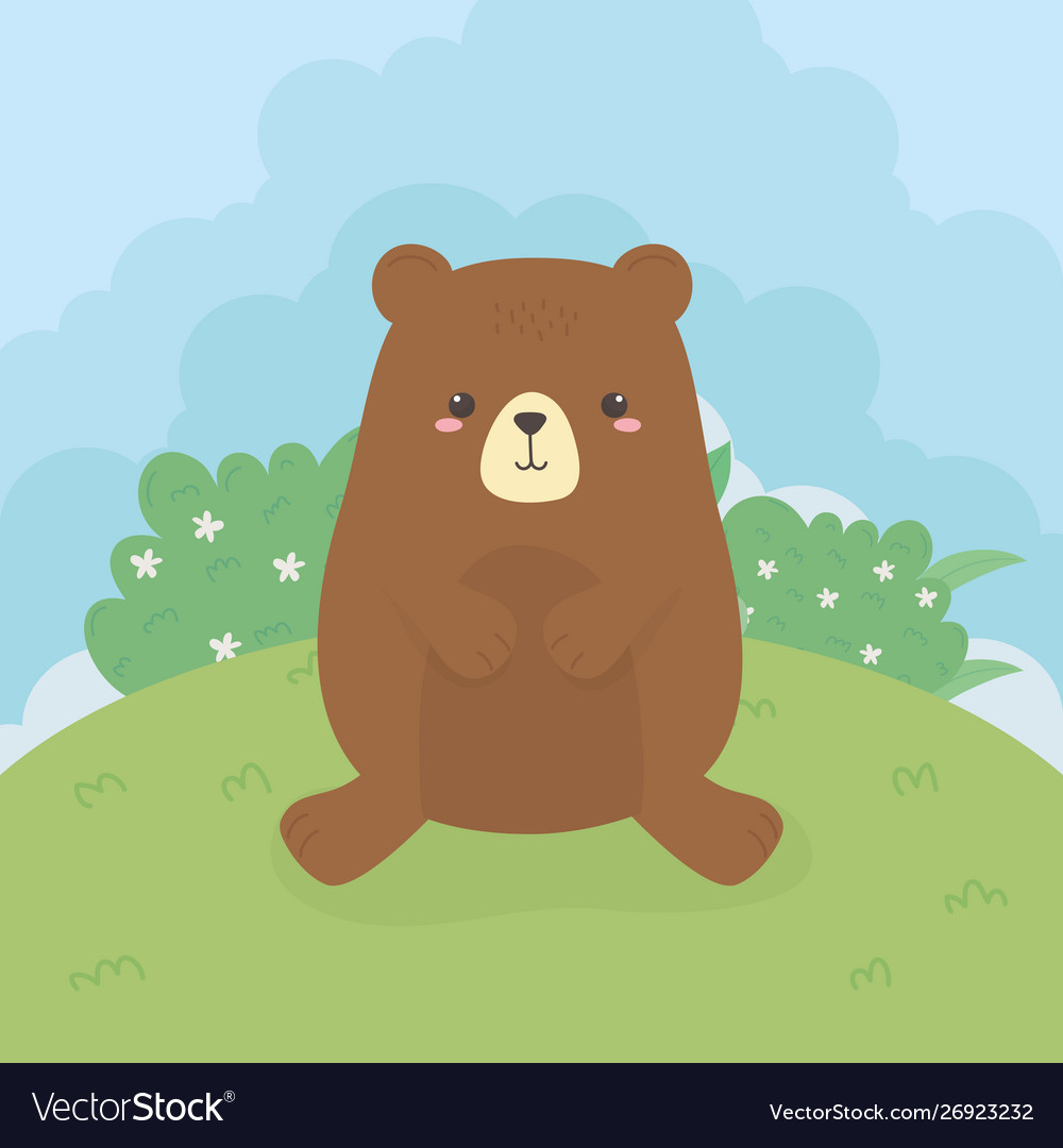 Cute bear teddy wild character Royalty Free Vector Image