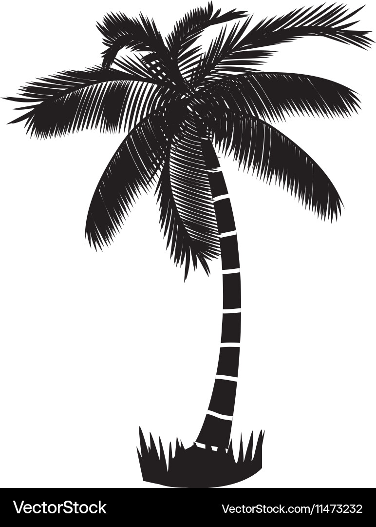 Summer palm tree Royalty Free Vector Image - VectorStock