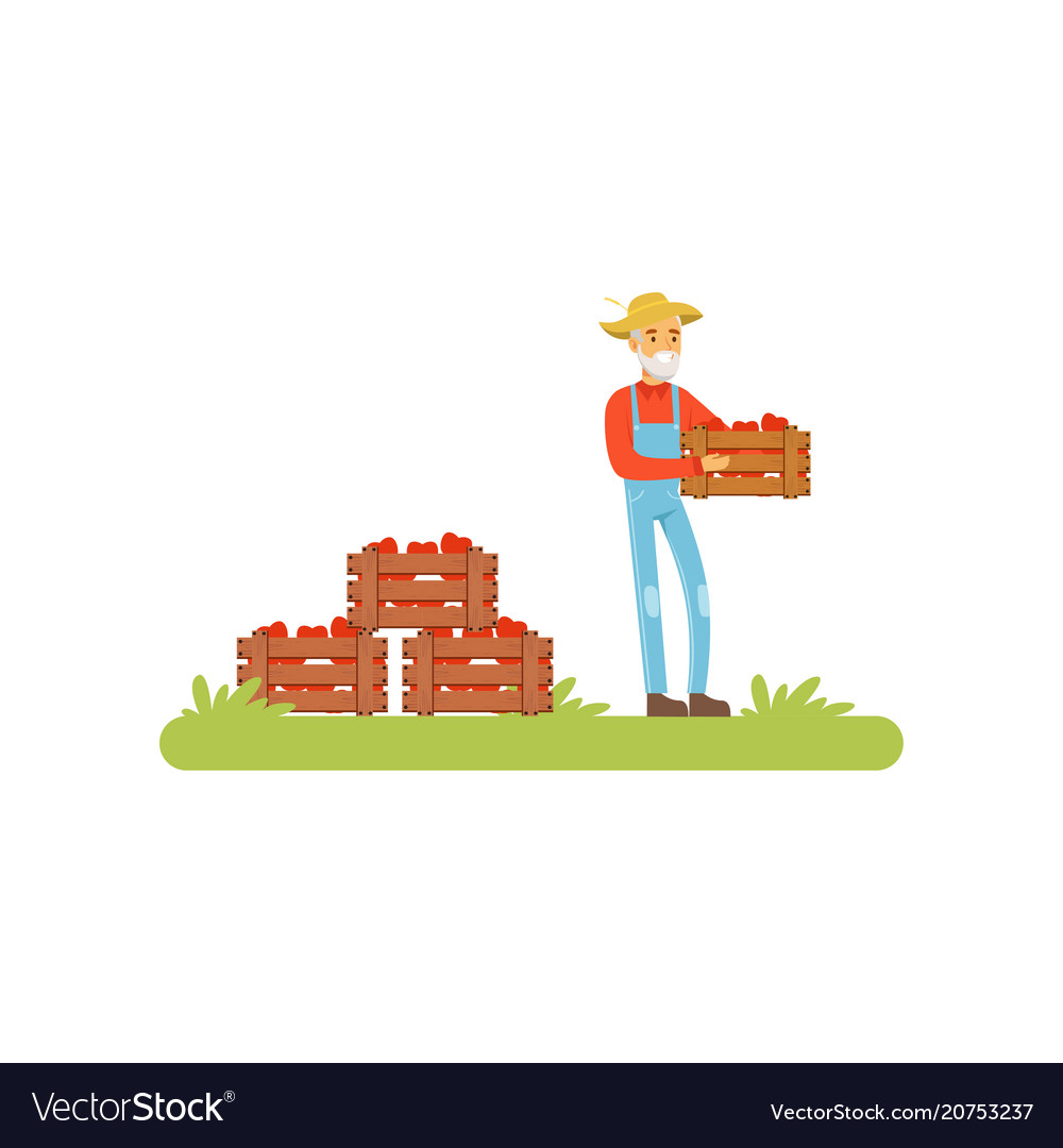 Farmer standing holding wooden crate full