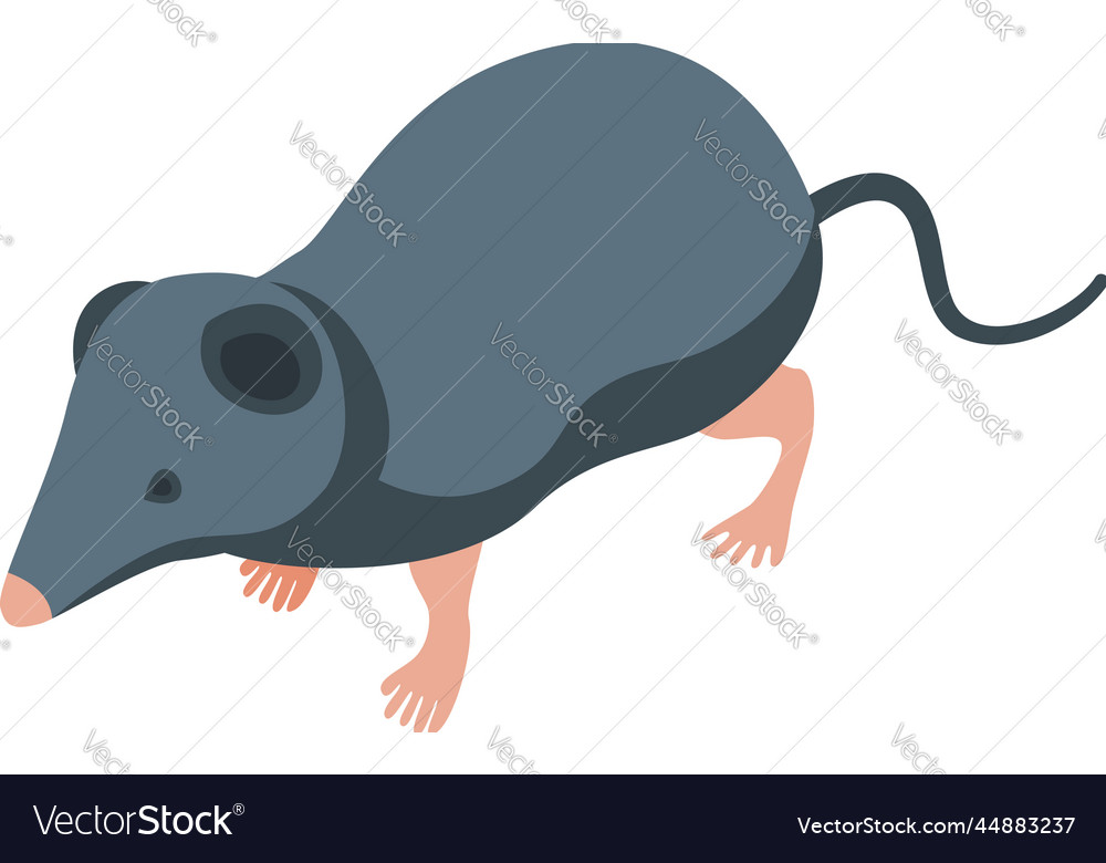 Shrew icon isometric african animal Royalty Free Vector Shrew icon isometric african animal Royalty Free Vector