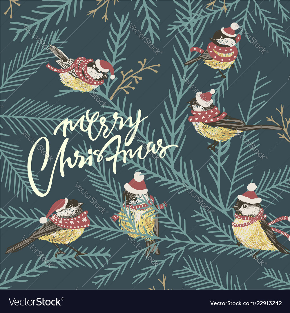 Funny Tits And Bird Feeder On Winter Tree Under Vector Image