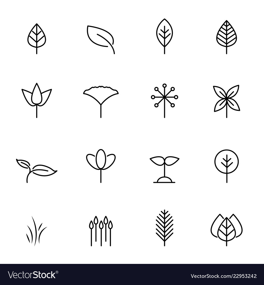 Leaf icon set nature and symbol concept thin