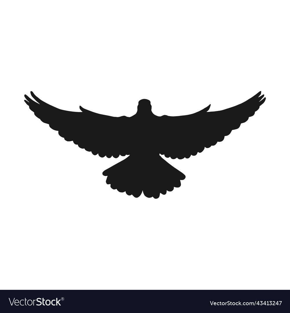 Hand drawn dove silhouette isolated on white Vector Image