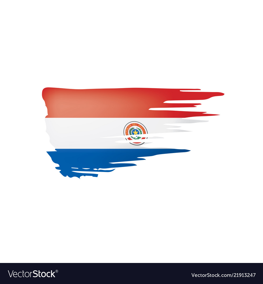 Paraguay flag on a white Royalty Free Vector Image