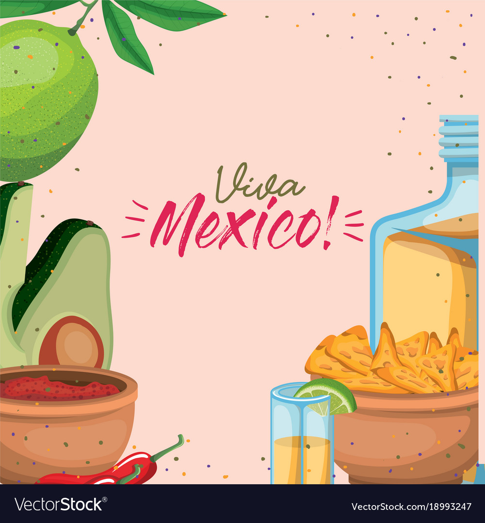 Viva mexico colorful poster of mexican traditional