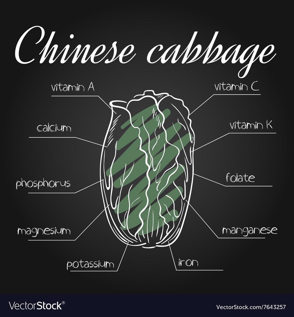 Nutrients list for chinese cabbage on chalkboard Vector Image