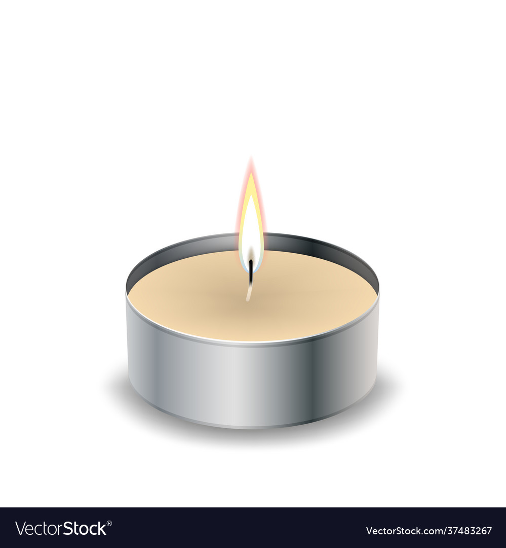 Candle light flame isol on white Royalty Free Vector Image