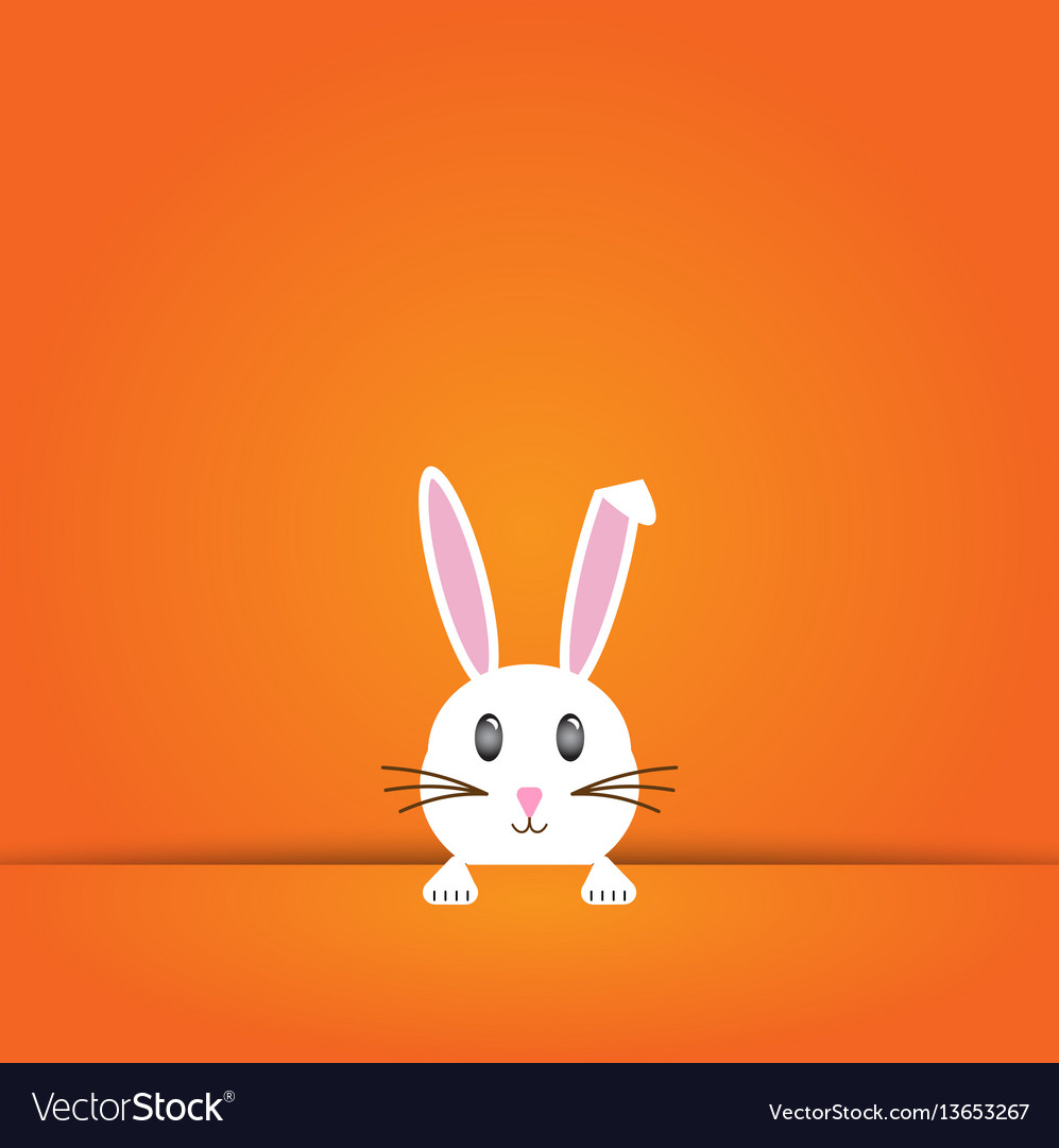 Easter rabbit bunny