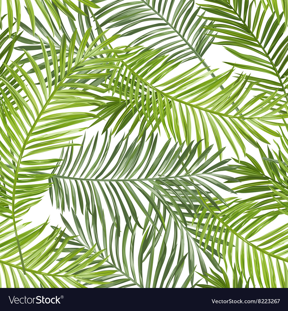 Seamless pattern tropical palm leaves background