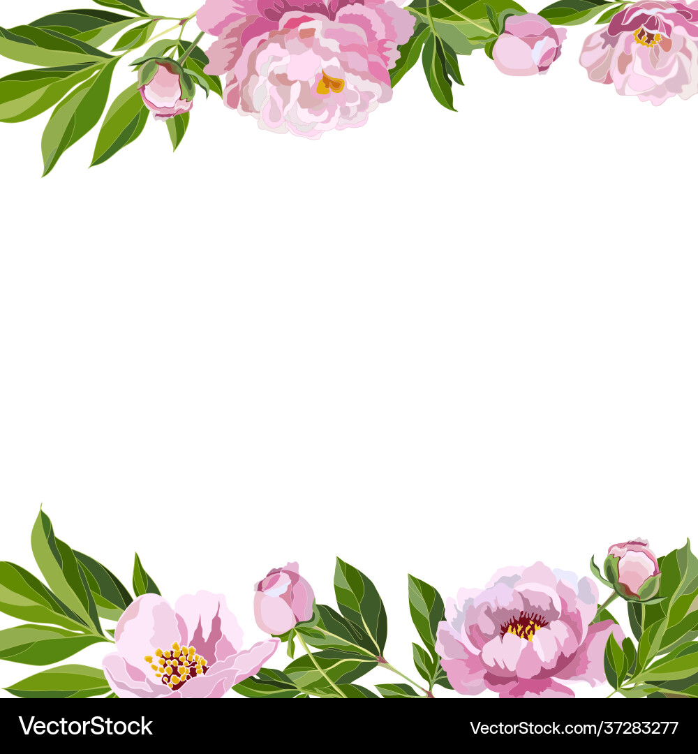 Background with peonies Royalty Free Vector Image