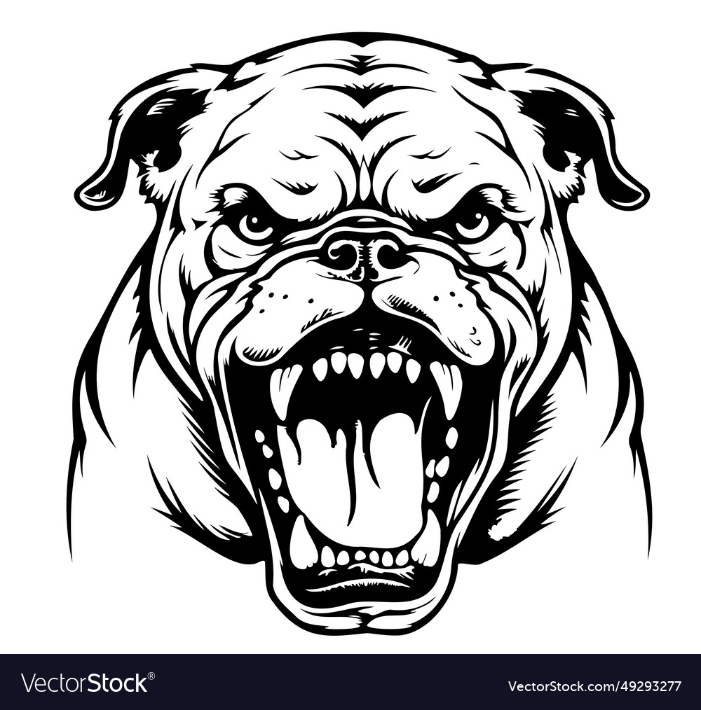 Bulldog of a sketch popular Royalty Free Vector Image