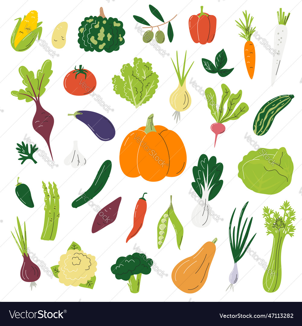 Big collection with different vegetables ripe Vector Image