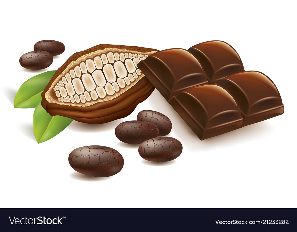 Cacao beans with chocolate table Royalty Free Vector Image