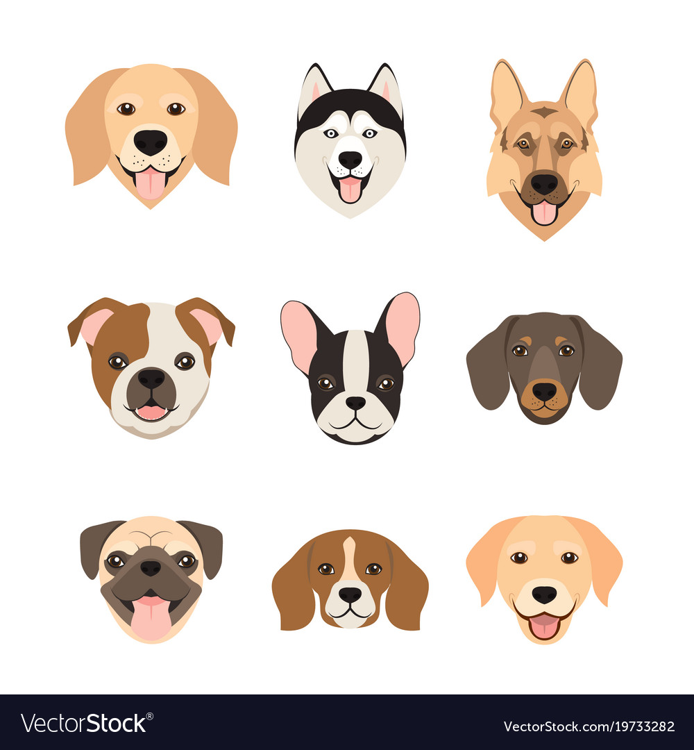 cute dog cartoon face