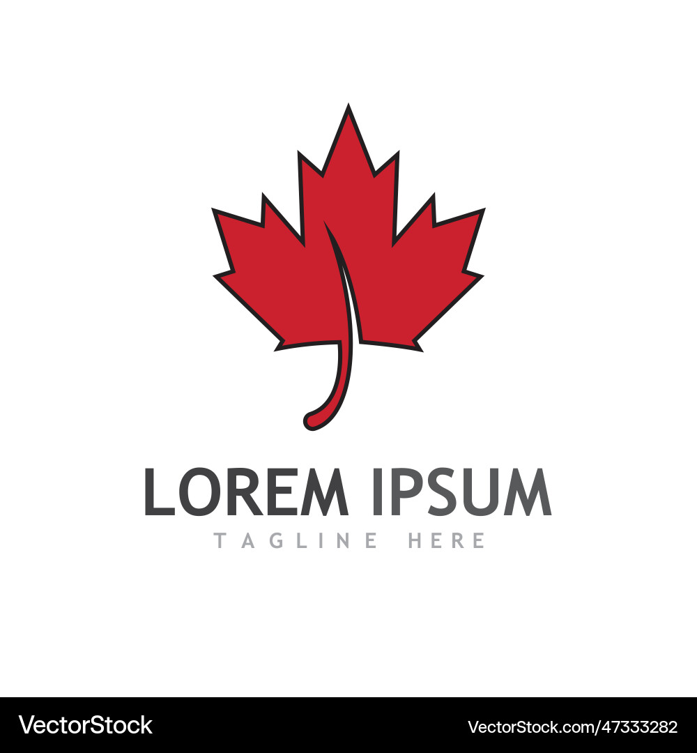 Maple leaf Royalty Free Vector Image - VectorStock