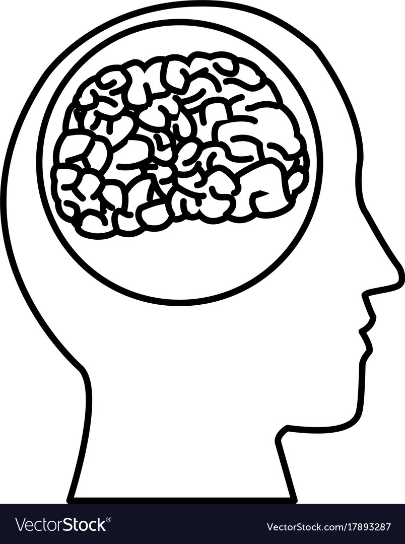 Human brain silhouette Royalty Free Vector Image