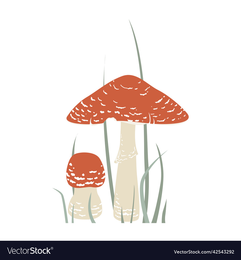 Two fly agaric in the grass forest poisonous Vector Image