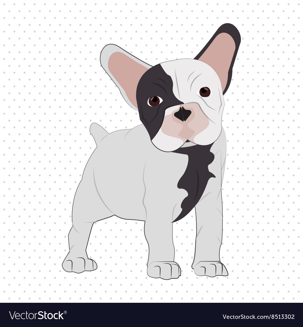 French bulldog design pet and animal concept