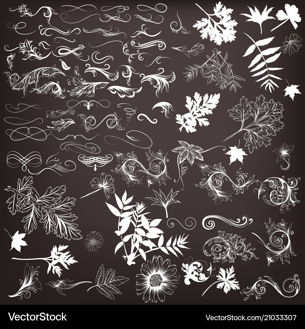 Set calligraphic elements for design Royalty Free Vector