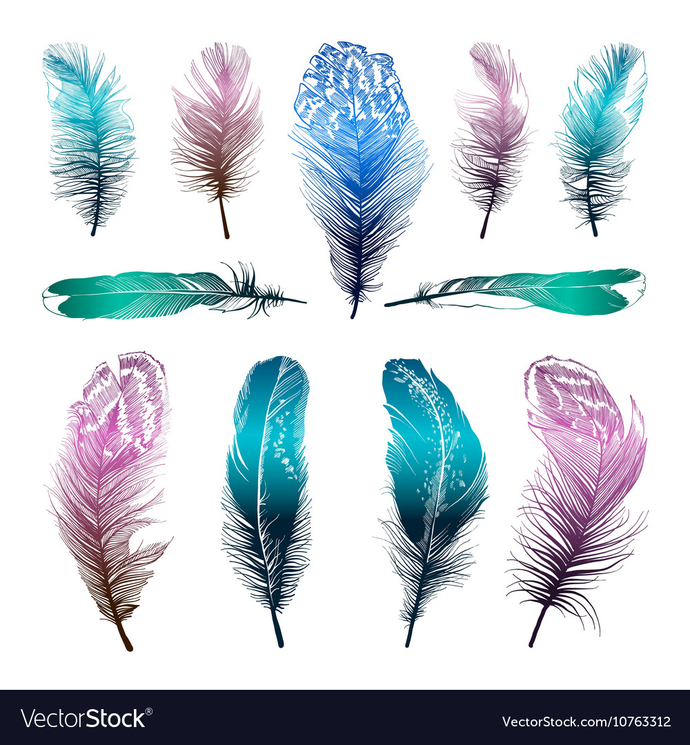 Set of four straight feathers