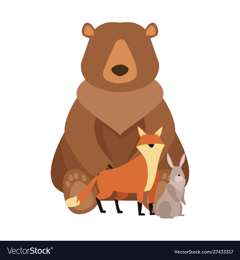 Cartoon wild bear and animals design