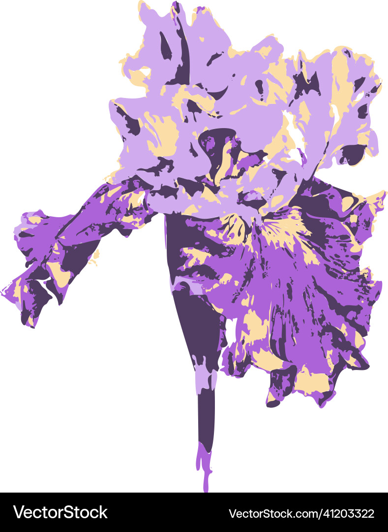 Iris flower hand drawn isolated flower Royalty Free Vector