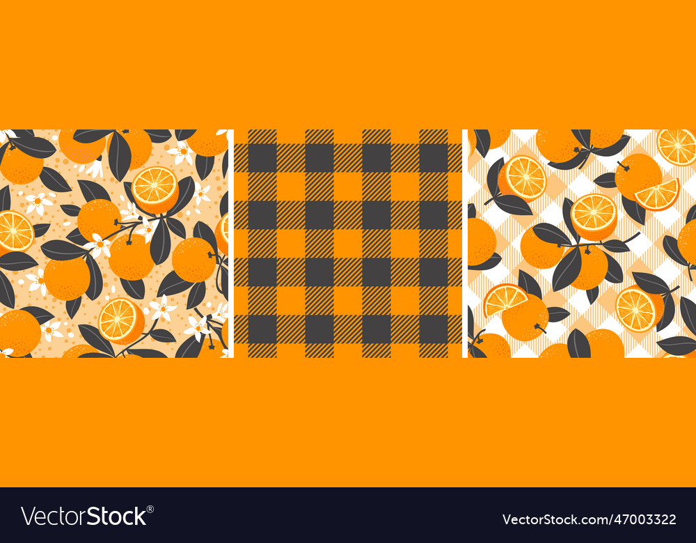 Orange pattern cage set Royalty Free Vector Image