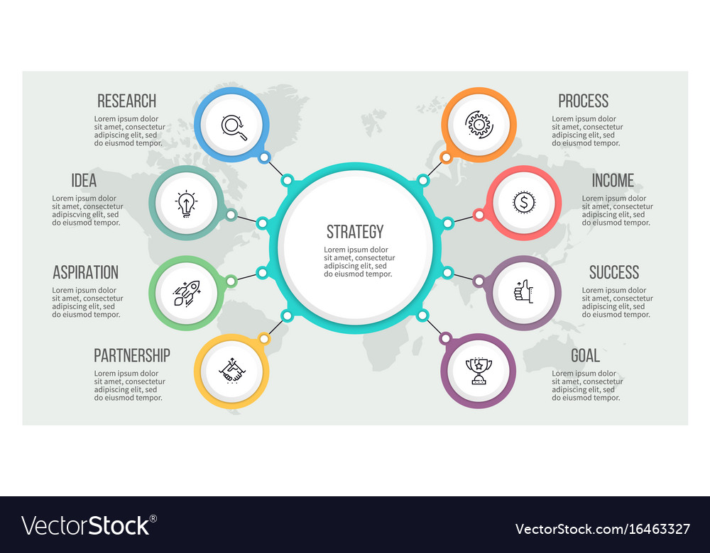 Business hierarchy infographic organization chart Vector Image