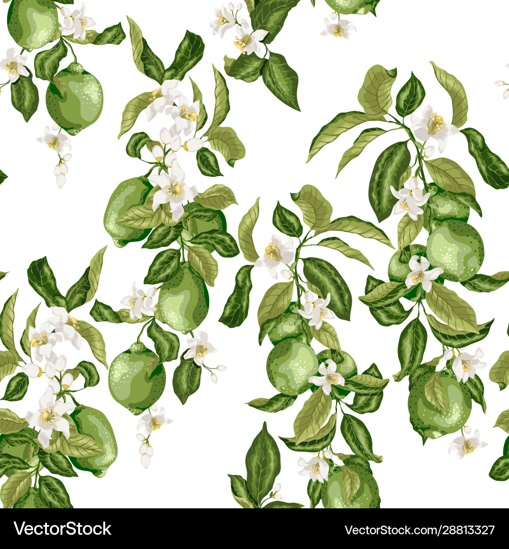 Citrus seamless pattern Royalty Free Vector Image