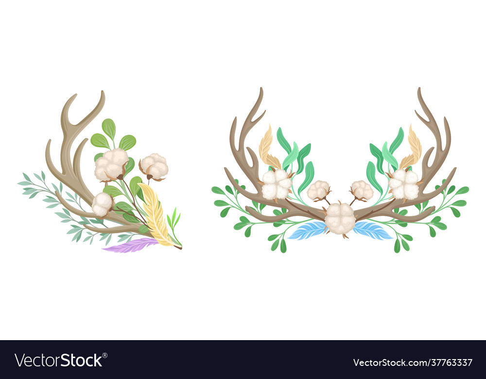 Deer antlers arranged with tender cotton flowers