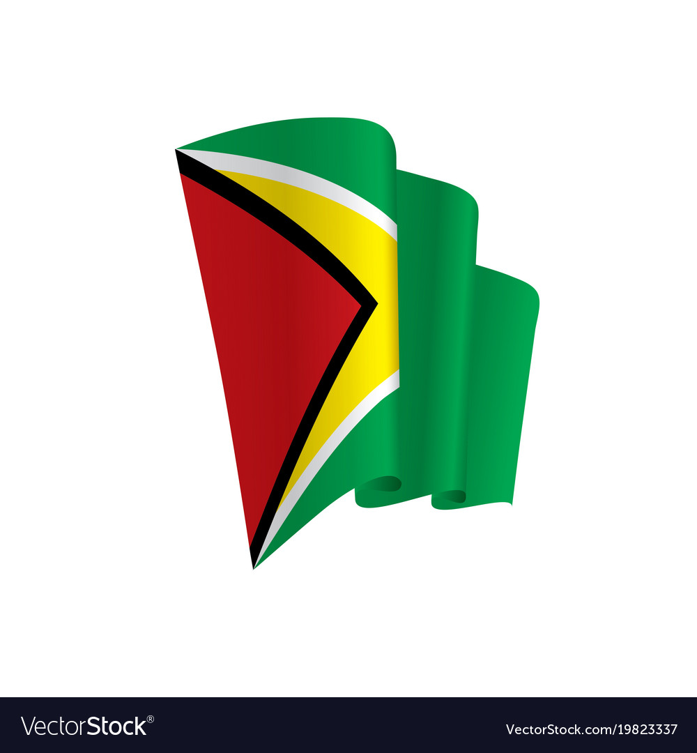 Guyana flag Royalty Free Vector Image - VectorStock