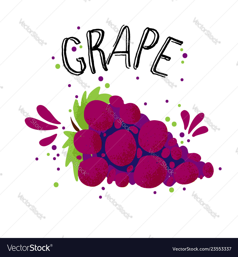 Hand draw red grape blue