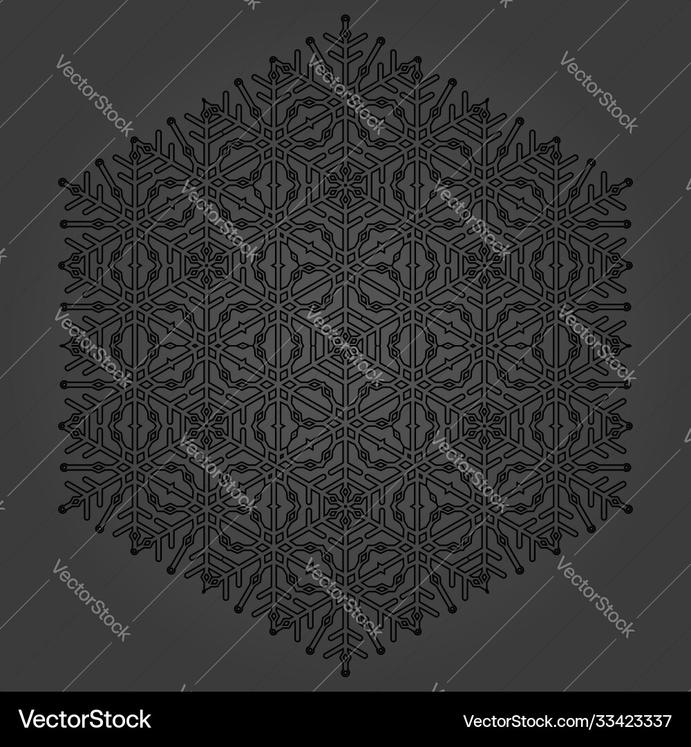 Round snowflake Royalty Free Vector Image - VectorStock