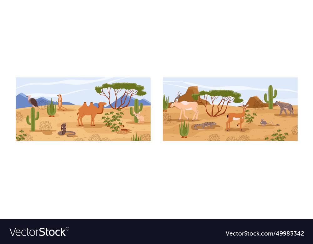 Desert landscapes two wildlife scenes cartoon