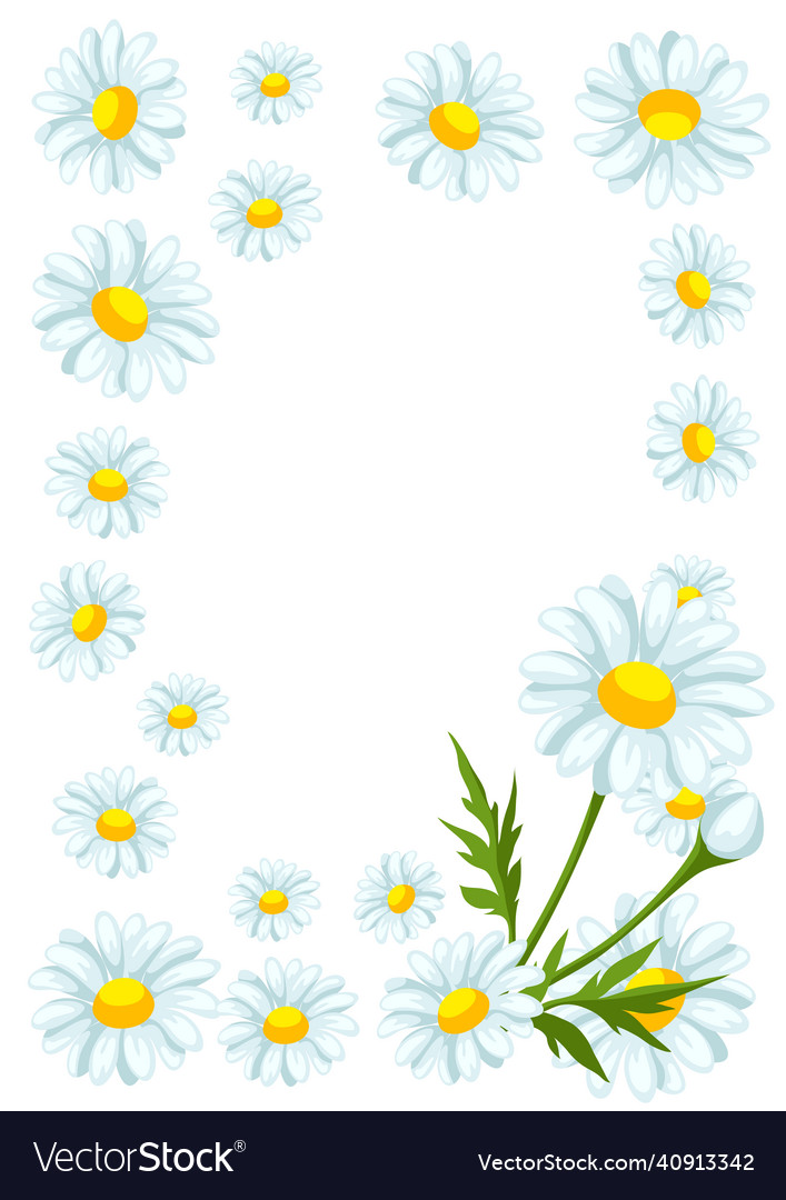 Frame with chamomiles flowers beautiful Royalty Free Vector