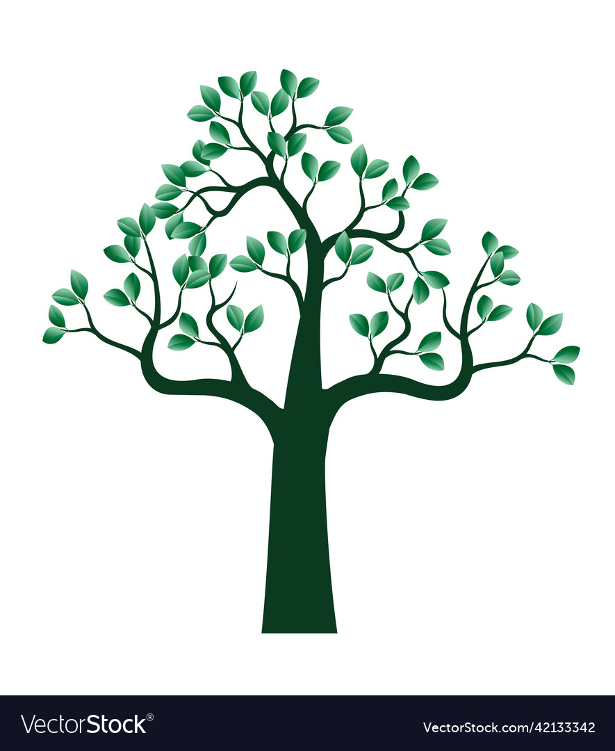 Green spring tree Royalty Free Vector Image - VectorStock