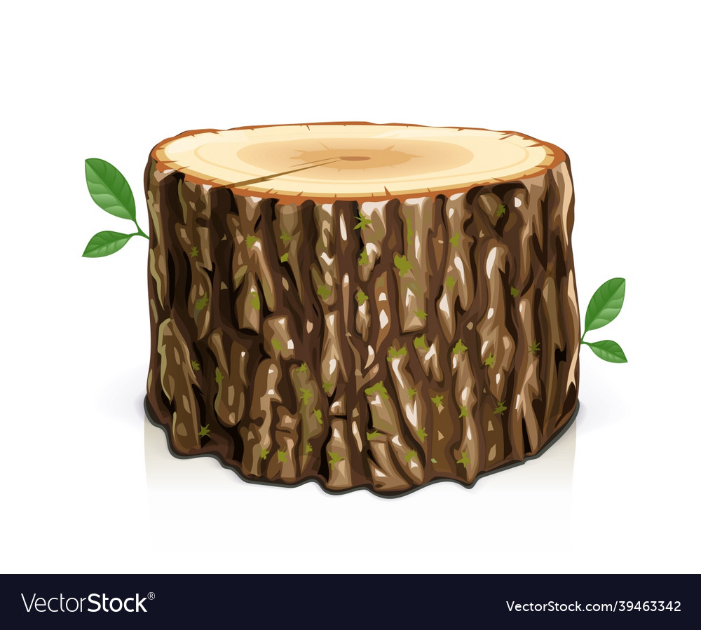 Wooden stump cut slice tree Royalty Free Vector Image