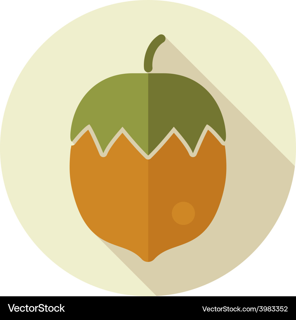 Nut flat icon with long shadow Royalty Free Vector Image