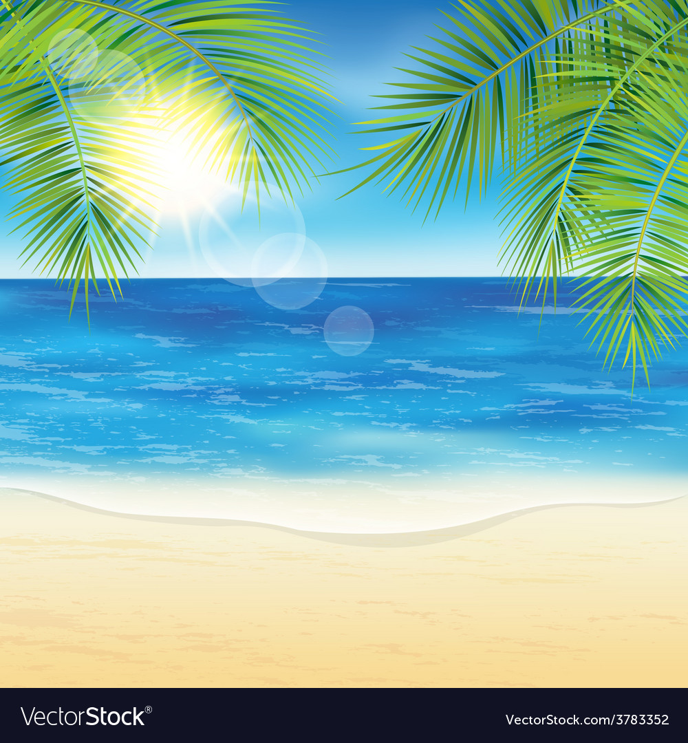 Sand beach and the palm branches at sunset time Vector Image