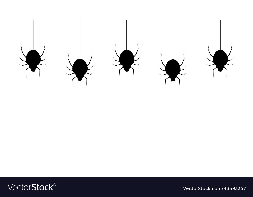 Spiders for decoration on the white background