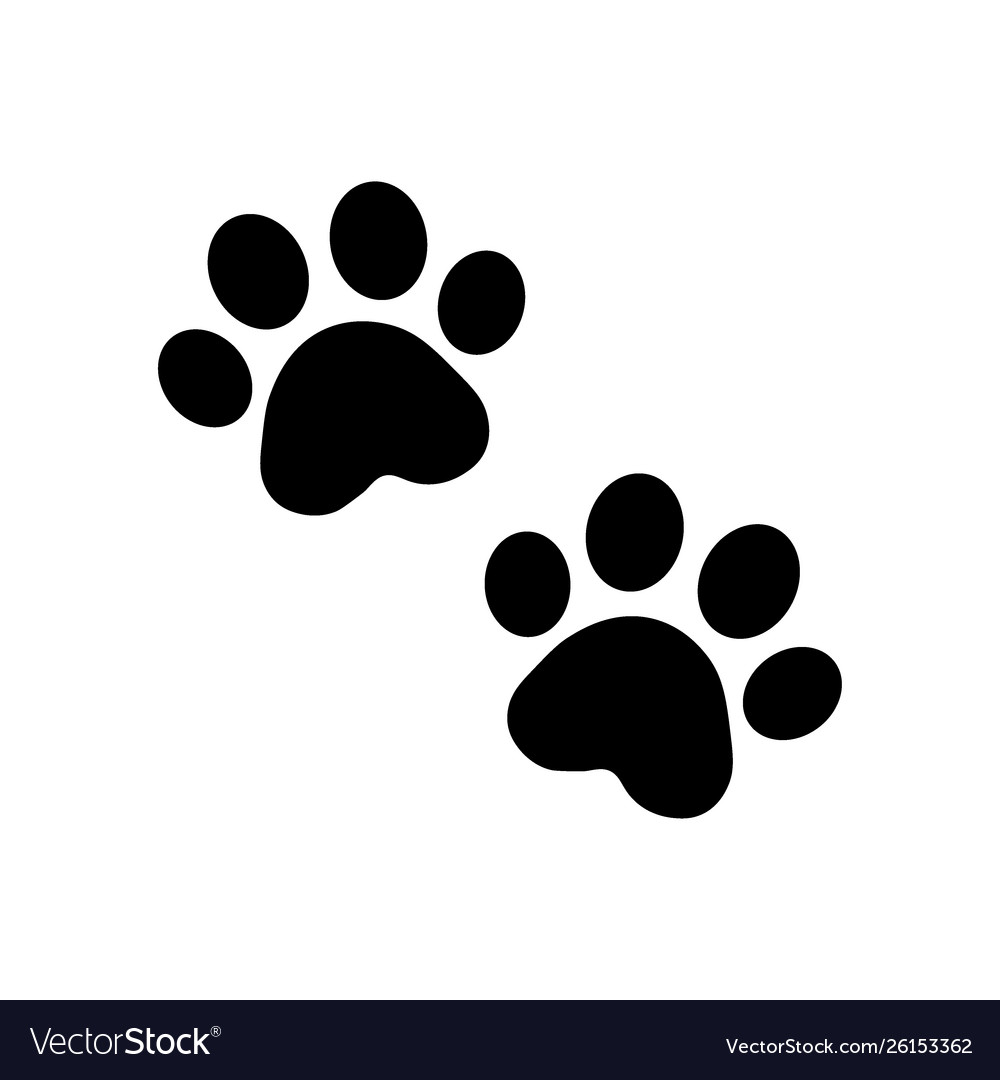 Dog paw Royalty Free Vector Image - VectorStock