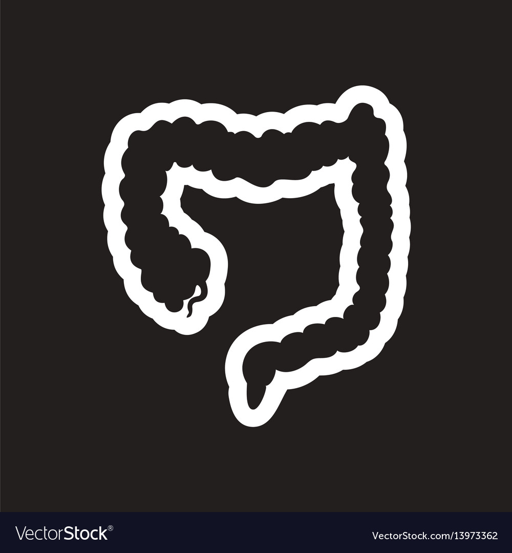 Stylish black and white icons duodenum gut