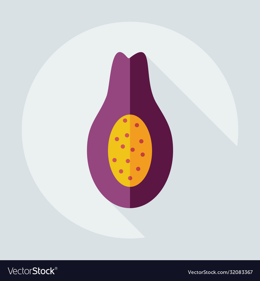 Flat modern design with shadow icons avocado