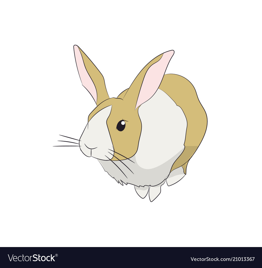 Hare sits Royalty Free Vector Image - VectorStock