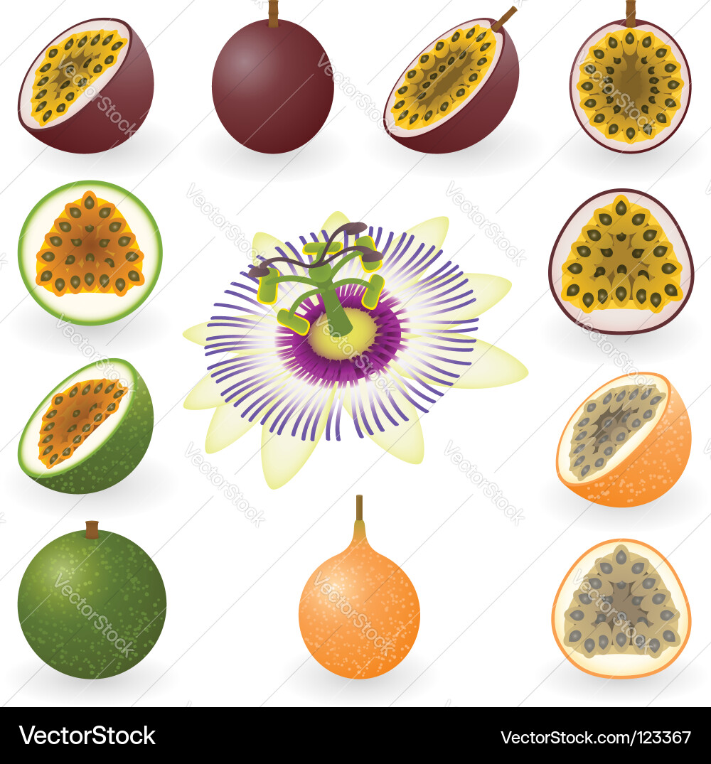 Passion fruit Royalty Free Vector Image - VectorStock