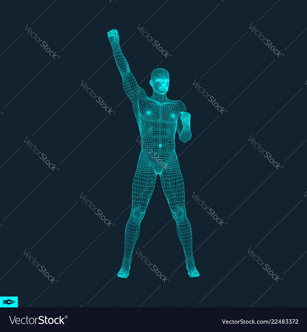 3d model of man human body wire polygonal