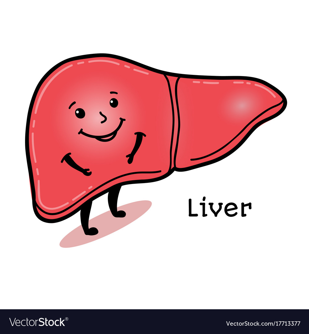 Cute And Funny Human Liver Character Royalty Free Vector