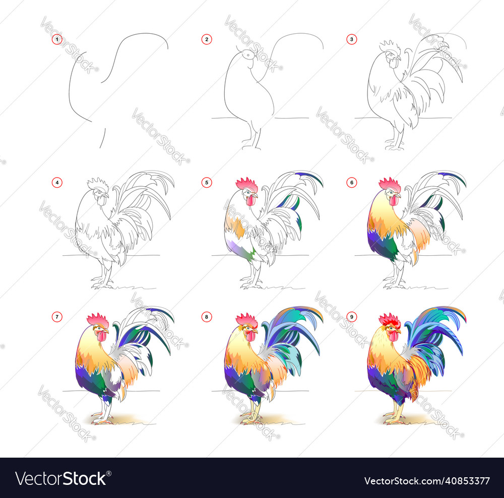 How to learn draw sketch of cute rooster