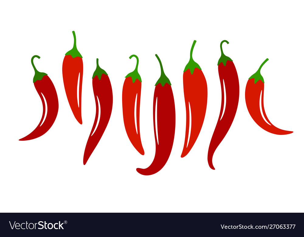 Spicy chili pepper Royalty Free Vector Image - VectorStock