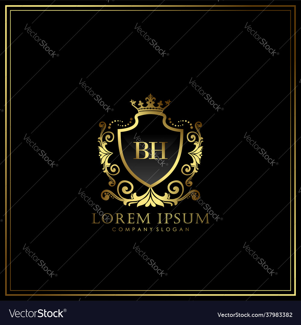 Bh Initial Letter Luxury Logo Template In Art Vector Image